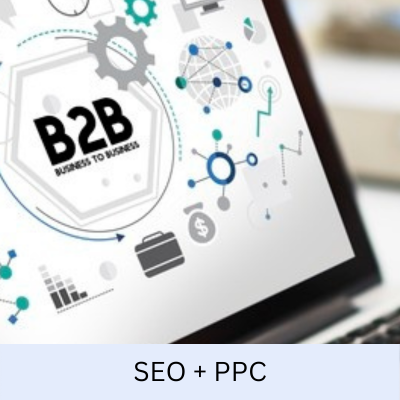 B2B PPC and SEO Case Study